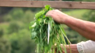 Tırpanı tutan adama yaklaş..