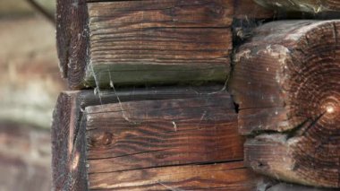 Old wooden log house wall background.