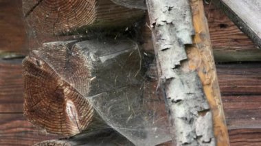 Wooden wall from logs with cobweb.