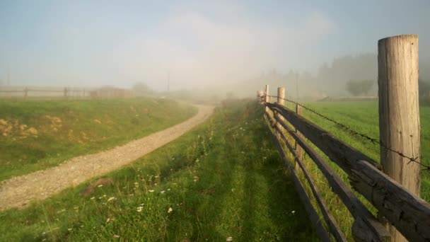 Деревня в тумане утром летом . — стоковое видео