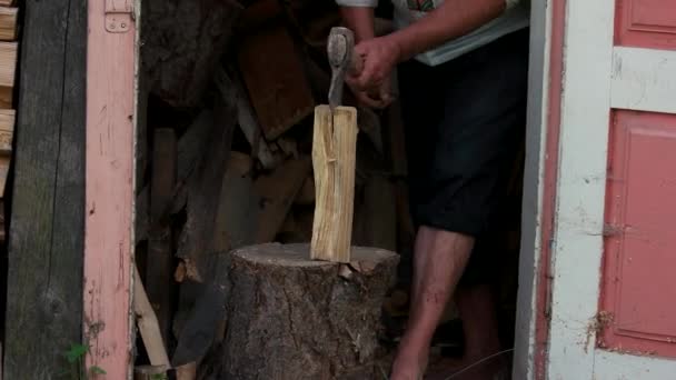 Mann hackt mit Axt Holz. — Stockvideo