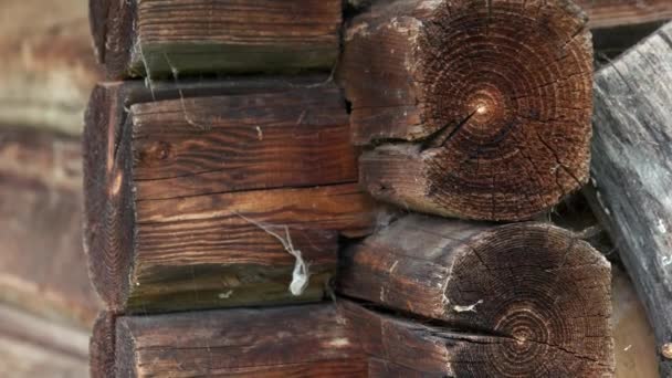 Old wooden balk wall background. — Stock Footage Old wooden balk wall background. Stock Video