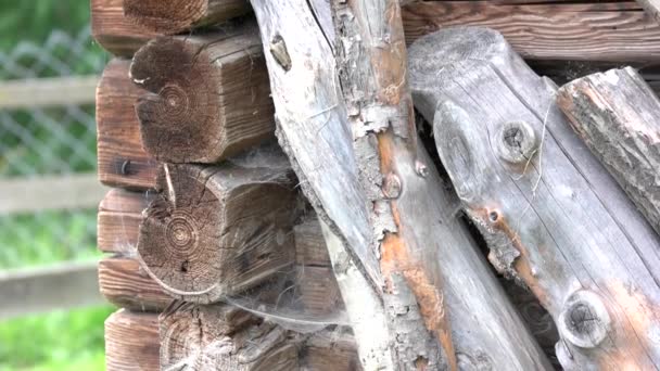 Wooden log house wall close up. — 图库视频影像