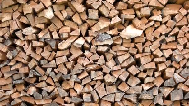 Chopped firewood background. — Stock Video