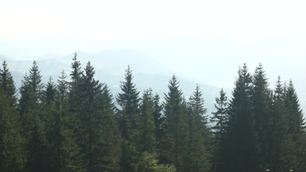 カルパティア山脈で霧深い夏の朝. — ストック動画