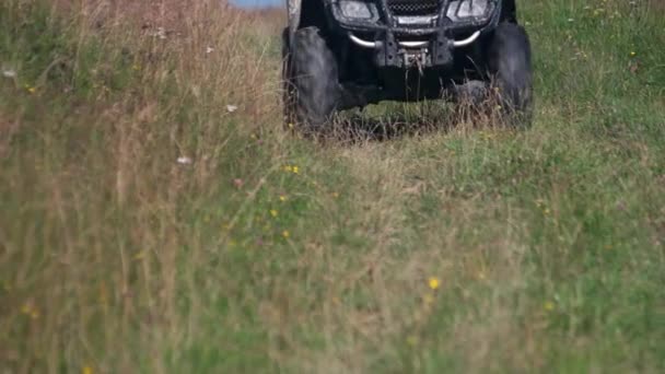 Person driving quad bike on green grass. — Stockvideo