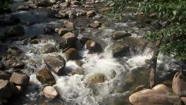 Холодная горная вода течет между камнями . — стоковое видео