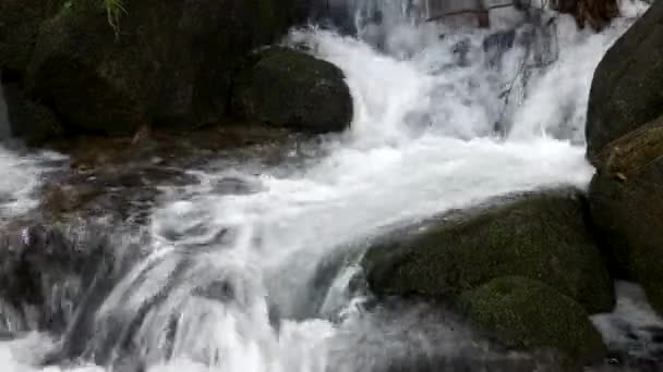 Río de montaña que fluye a través de piedras . — Vídeos de Stock