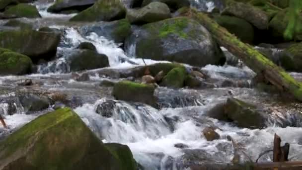 Rio de montanha fluindo entre pedras . — Vídeo de Stock