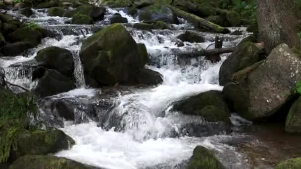 Stream flows among stones in mountain. — Stock Video