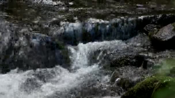 Snelle berg rivier stroomt over stenen close-up. — Stockvideo