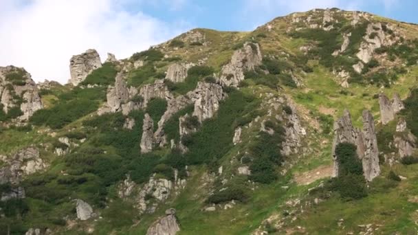 Bela paisagem de verão de montanhas dos Cárpatos . — Vídeo de Stock