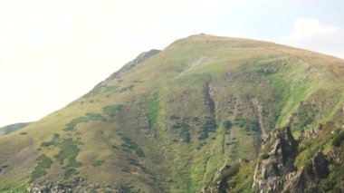 çimenli yamaçları Karpat Dağları.