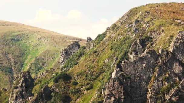 Paisaje pacífico de naturaleza salvaje en verano. — Vídeo de stock