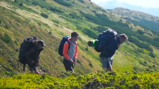 Three male hikers on beautiful mountain background. — Stock Video
