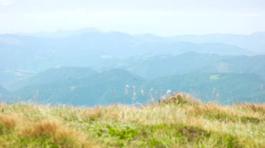 Karpat Dağları'nın güzel panoramik manzara.
