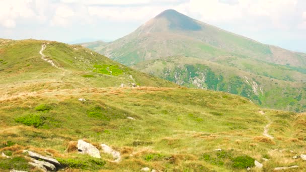 Hermoso panorama de las montañas Cárpatas en verano . — Vídeo de stock