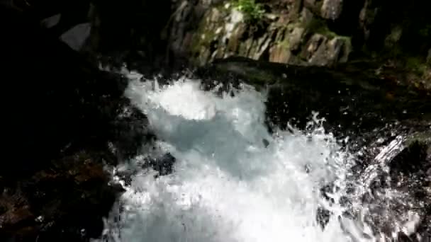 Prachtige Mountain River stream close-up. — Stockvideo