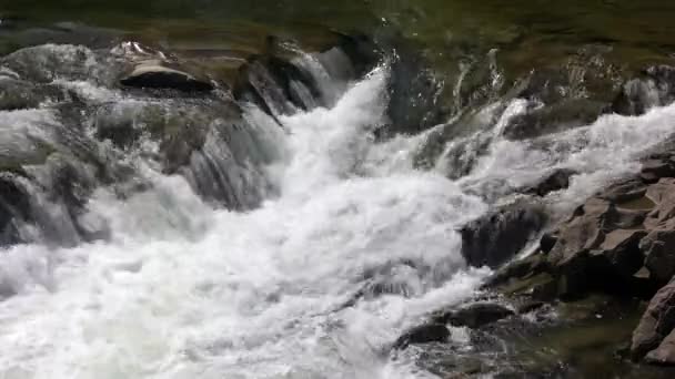 Schneller Gebirgsbach an einem Sommertag. — Stockvideo