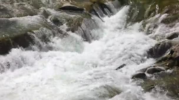 Schaumwasserfluss in den Bergen aus nächster Nähe. — Stockvideo
