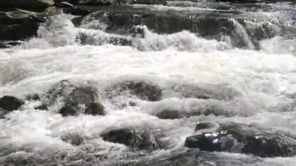Horská řeka, která teče přes skály. — Stock video