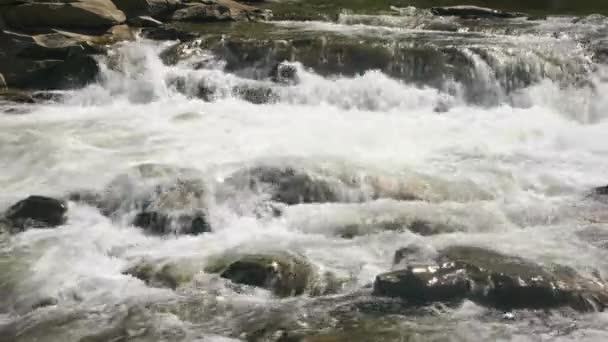 Río que fluye desde las montañas . — Vídeos de Stock