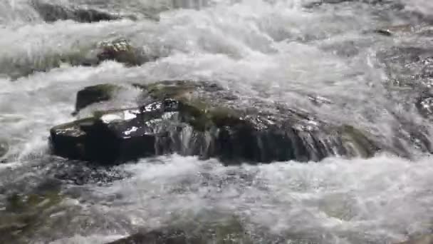Rápida corriente que fluye sobre las rocas de cerca . — Vídeo de stock