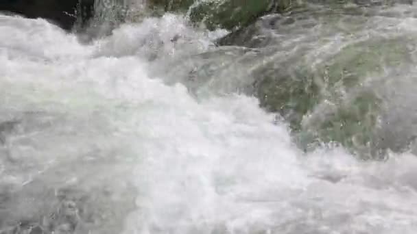 Corriente rápida de un agua de montaña . — Vídeo de stock