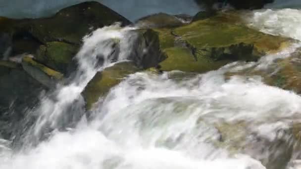 El agua pura fluye entre las piedras . — Vídeos de Stock