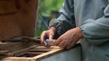 Apiary'de arılarla çalışan arıcı.