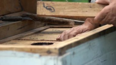 Arı kovanı ile çalışan arıcının yakın çekim.