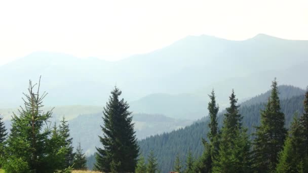 Yaz sezonunda Karpat dağlarının panoraması. — Stok video