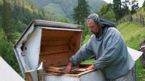 Apicultor removendo favo de mel da colmeia . — Vídeo de Stock