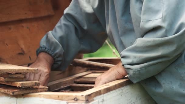 Imker bei der Arbeit mit Bienen und Bienenstöcken im Bienenhaus. — Stockvideo