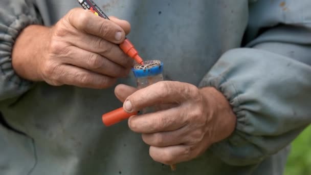 Les mains de l'apiculteur au travail . — Video