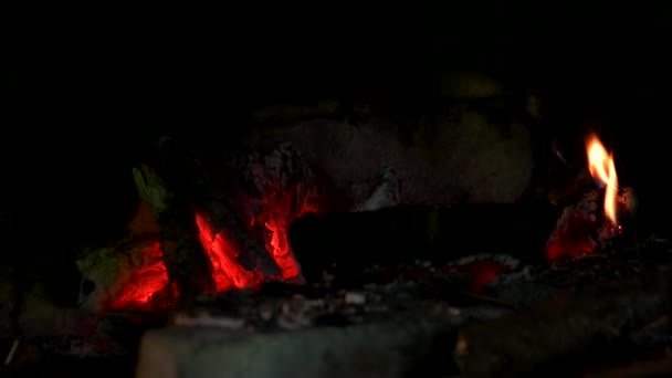 Brandhout branden in de open haard. — Stockvideo