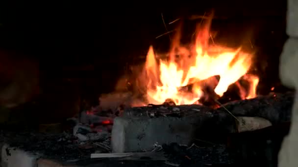 Brandhout branden in de oven. — Stockvideo