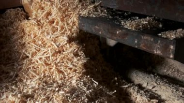 Atölyede talaş yığını.