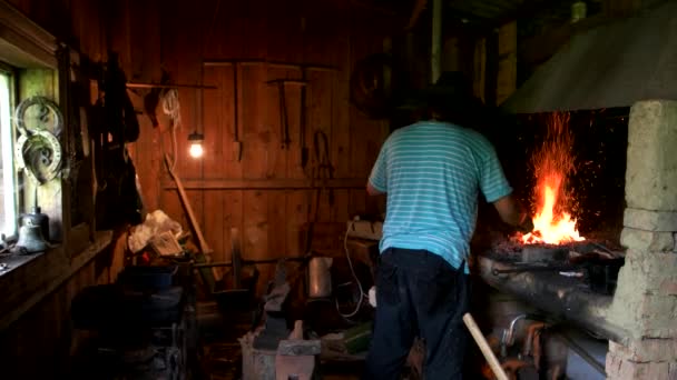 Herrero trabajando en la fragua. — Vídeos de Stock