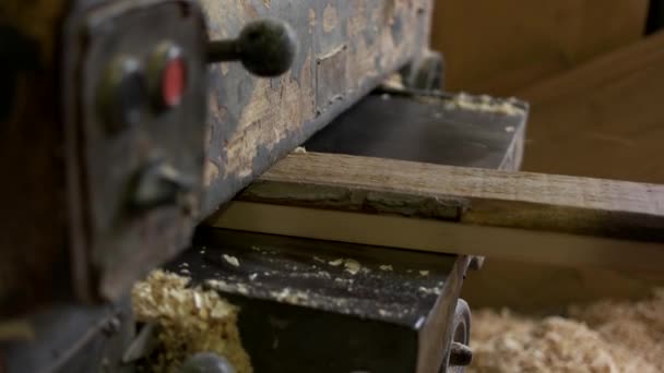 Plank productie bij Carpenter workshop. — Stockvideo