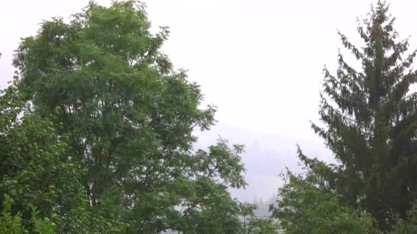 De fortes pluies avec des arbres verts sur le fond .
