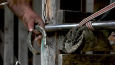 Farrier eski bir at nalı çıkarmadan.