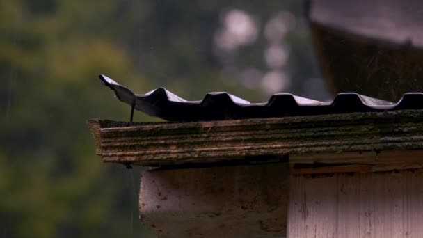 Regenwasser fällt vom Dach. — Stockvideo