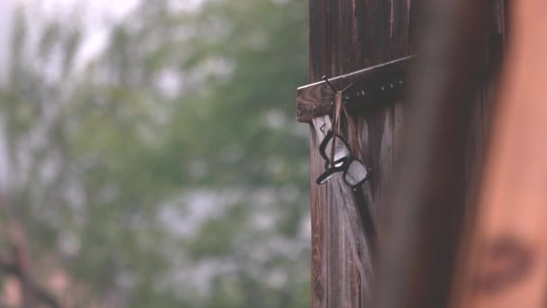 Sommerregen fällt auf natürlichen verschwommenen Hintergrund. — Stockvideo