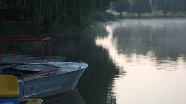 Lugna dimmigt sjön på morgonen. — Stockvideo
