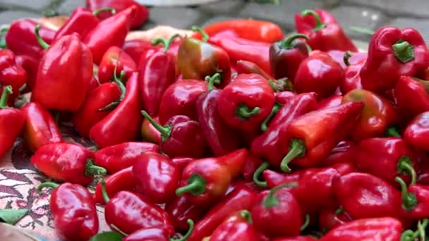 Warzywa Capsicum czerwona papryka. — Wideo stockowe