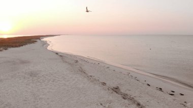 Kumsalda uçan martılar..