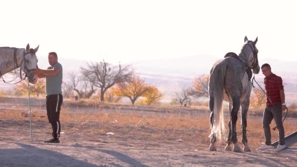 Dos hombres preparando caballos para montar . — Vídeos de Stock