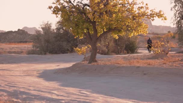 Vrouw die op een zonnige dag over een landelijke weg loopt. — Stockvideo