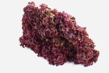 Bir demet mor marul..